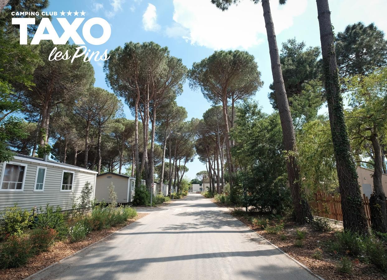 Camping Taxo Les Pins Argelès-sur-Mer Kültér fotó