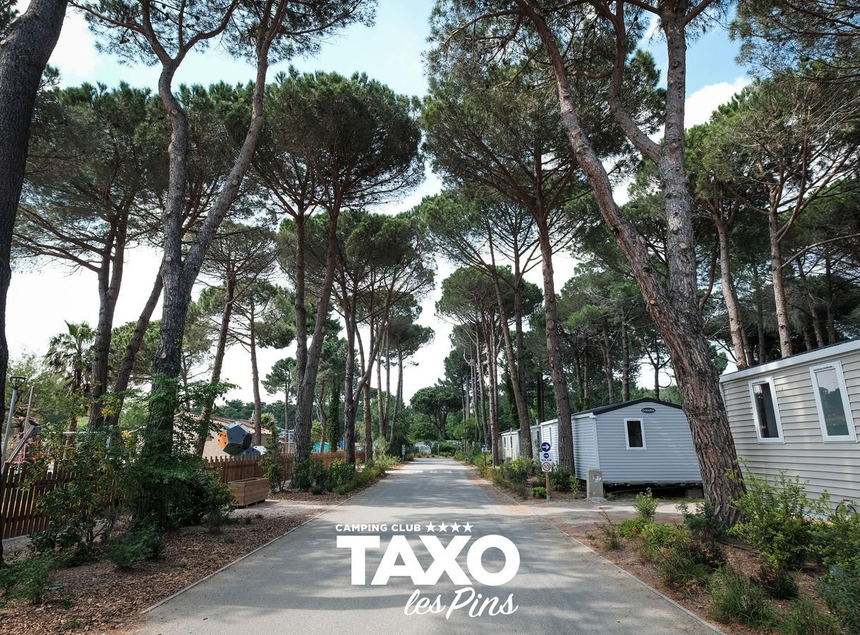 Camping Taxo Les Pins Argelès-sur-Mer Kültér fotó