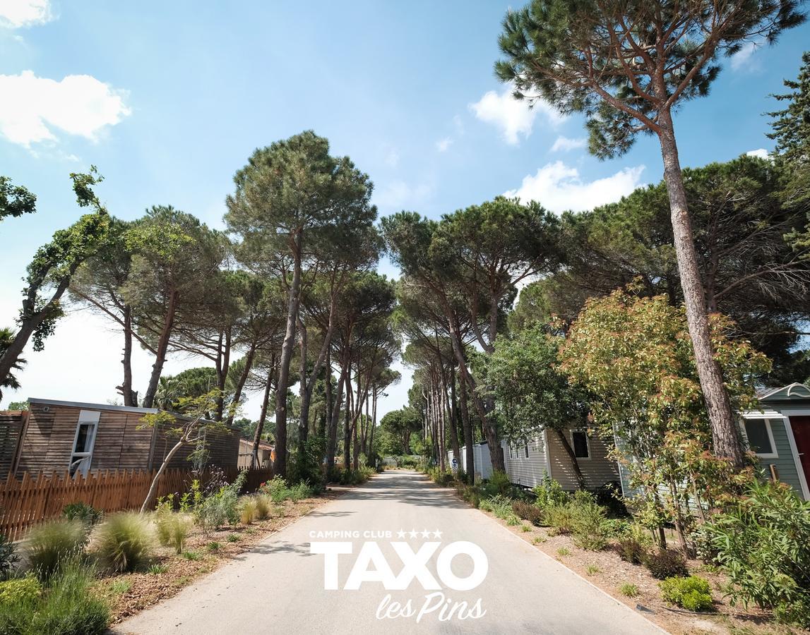 Camping Taxo Les Pins Argelès-sur-Mer Kültér fotó