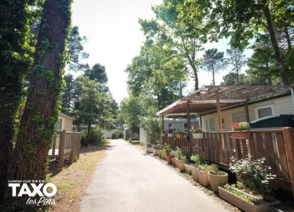 Camping Taxo Les Pins Argelès-sur-Mer Kültér fotó